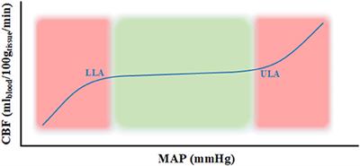Non-Invasive and Minimally-Invasive Cerebral Autoregulation Assessment: A Narrative Review of Techniques and Implications for Clinical Research
